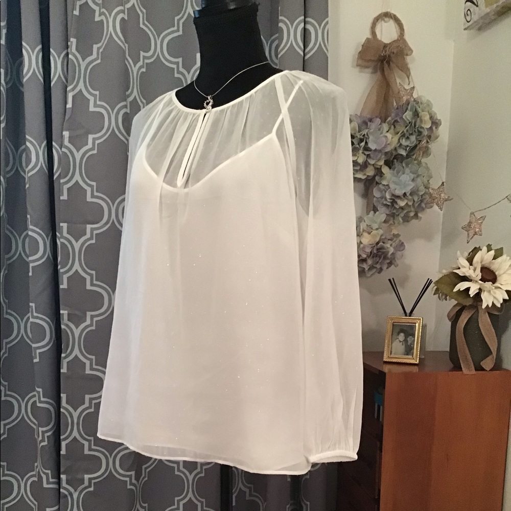 J.Crew Sheer Top